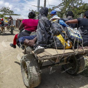 Migrantes