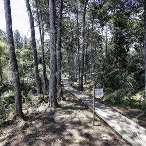 Parque Arví