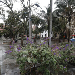 Parque de Berrío