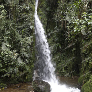 Parque Ecoturístico El Salado