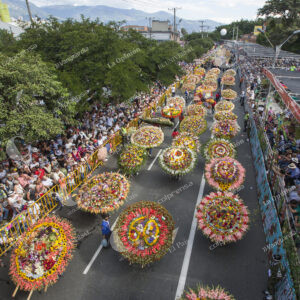 Desfile de Silleteros
