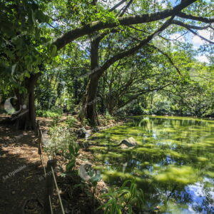 Jardín Botánico