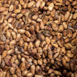 Cultivos de Cacao