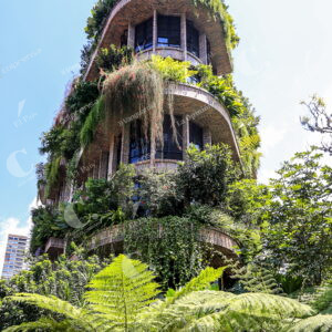 Medellín Edificios