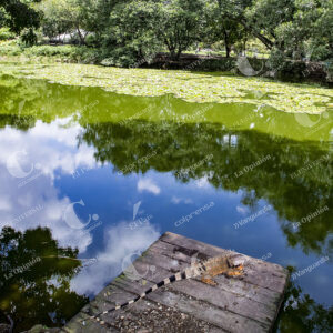 Jardín Botánico