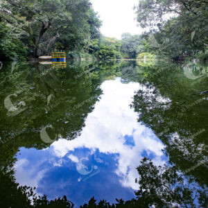 Jardín Botánico