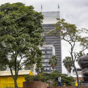 Medellín Árboles