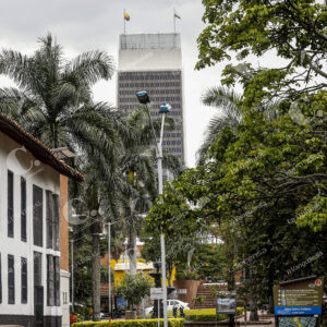 Medellín Árboles