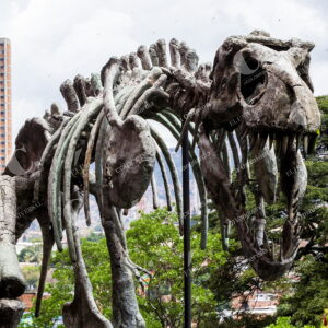 Parque Explora