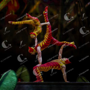 Circo del Sol