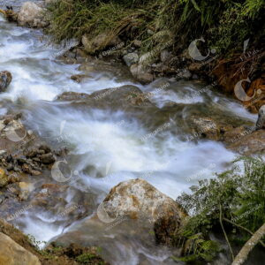 Parque Ecoturístico El Salado