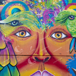 Graffiti Tour de la Comuna 13