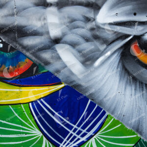 Graffiti Tour de la Comuna 13