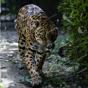 Parque de la Conservación