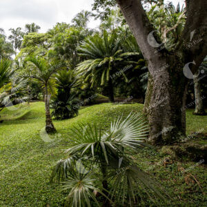 Jardín Botánico