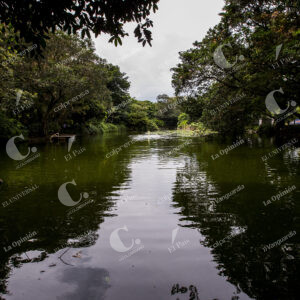 Jardín Botánico
