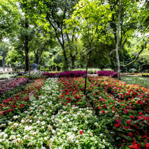 Jardín Botánico