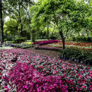 Jardín Botánico