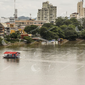 Montería