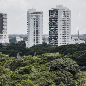 Montería