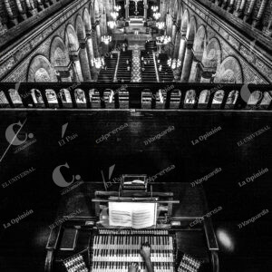 Catedral Metropolitana Órgano Musical