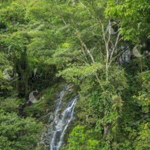 Santa Marta