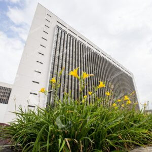 Centro Administrativo La Alpujarra