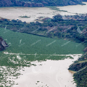 Buchón en el Río Cauca