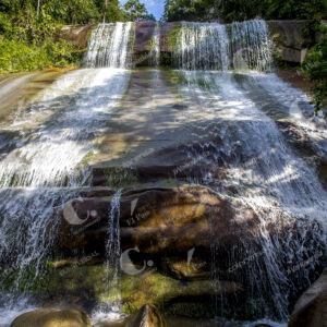 Municipio de San Carlos Cascadas