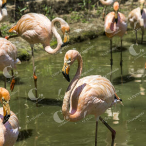 Parque Temático Hacienda Nápoles