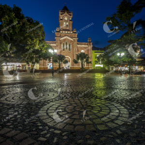 Municipio de San Carlos