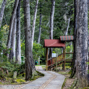 Parque Arví
