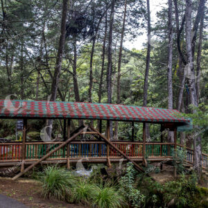 Parque Arví