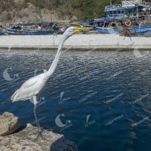 Santa Marta