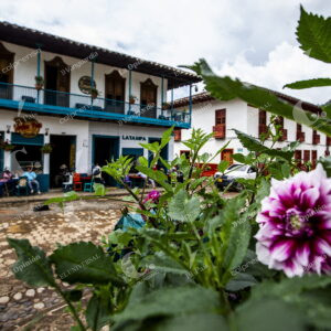Municipio de Jardín