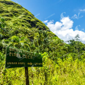 Caquetá