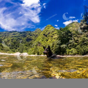 Caquetá