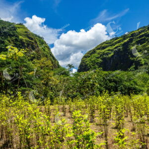 Caquetá