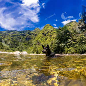 Caquetá