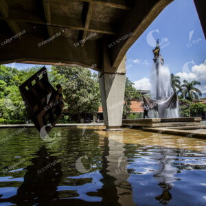 Universidad de Antioquia
