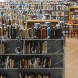 Biblioteca Pública Piloto