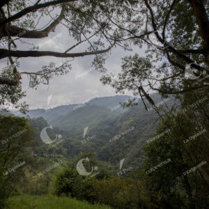 Reserva Ecológica La Romera