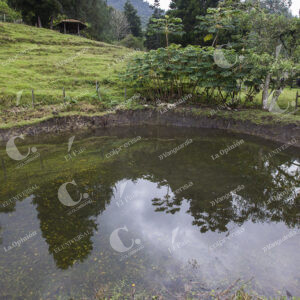 Reserva Ecológica La Romera