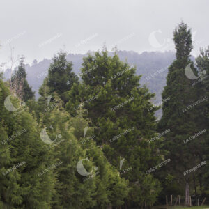 Reserva Ecológica La Romera