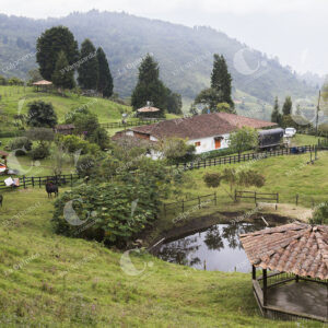 Reserva Ecológica La Romera