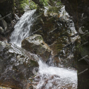 Reserva Ecológica La Romera