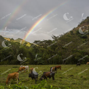 Paisaje el arcoiris