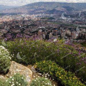 Cerros de la ciudad