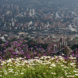 Cerros de la ciudad