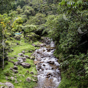 ECOPARQUES ENVIGADO